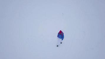 vuelo terminado nevada en un Nevado montaña conífero bosque, incómodo antipático invierno clima. video