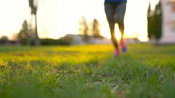 Running shoes - woman tying shoe laces video