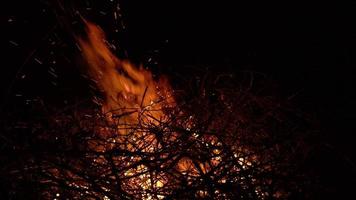 latente carbones en un chimenea. lento movimiento video