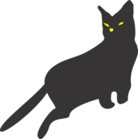 svart katt png