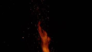 latente carbones en un chimenea. lento movimiento video