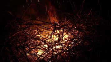 latente carbones en un chimenea. lento movimiento video