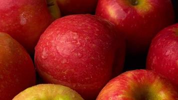 äpple, äpple frukt, närbild av äpple frukt video