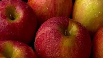 fruta de manzanas maduras video