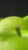 Vertical of apple fruit video