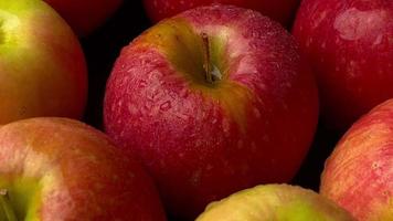 Apple, closeup of apple fruit video