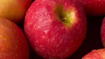 Closeup of apple fruit, ripe apples fruit background video