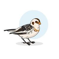 Snowbunting color vector illustration isolated on white background