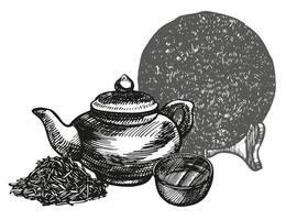 Set of ink hand drawn tea infuser illustration. Vector hand drawn illustration. Tea ceremony.