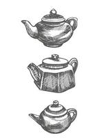 Chinese traditional teapod. Graphic hand-drawn illustration, vector. vector