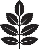 Tree icon symbol image vector, illustration of the tree botany in black image vector