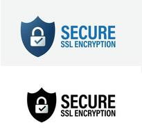 secure SSL encryption vector icon. secure transaction abstract