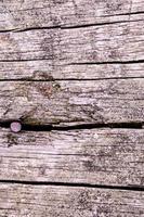 Wooden plank background photo