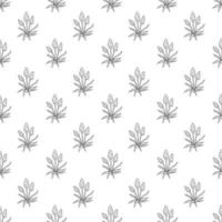 Seamless pattern with grape hyacinth flower. Doodle black and white vector illustration.