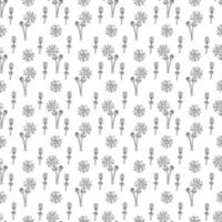 Seamless pattern with dream grass flower or pulsatilla. Doodle black and white vector illustration.