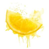 Watercolor fresh yellow summer illustration of lemon slice. Isolated illustration on a white background, for postcards, patterns, and textiles. vector