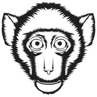 Rhesus Monkey Vector Image