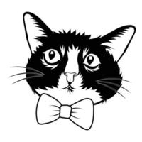 Cool Cat With Bow Vector Image