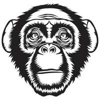 gorila Derecho cara vector imagen
