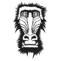 Baboon Monkey Cace Vector Image