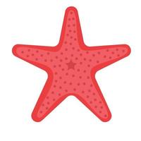 Starfish isolated on withe background. Tropical, ocean or sea animal. vector