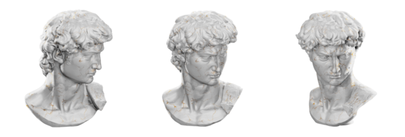 Beautiful 3D render of Michelangelo's David head sculpture png