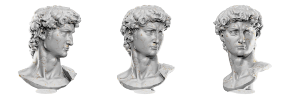 Beautiful 3D render of Michelangelo's David head sculpture png
