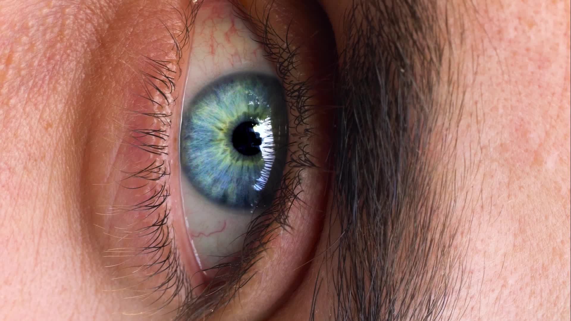 Blinking Eye Stock Video Footage for Free Download