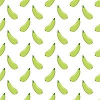 Zucchini seamless pattern on white background. vector