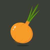 Vector onion on background vector.
