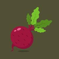 Beetroot isolated on green background. vector