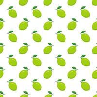 Lime with green leaves, slice citrus white background. vector