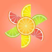 Citrus slices of lemon, kiwi, orange, grapefruit in the form of a flower. vector