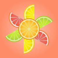 Citrus slices of lemon, kiwi, orange, grapefruit in the form of a flower. vector