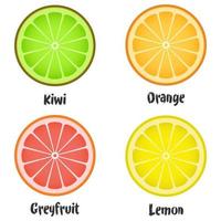 Fresh citrus fruits slices set. vector