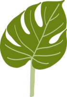 Simplicity monstera leaf freehand drawing png