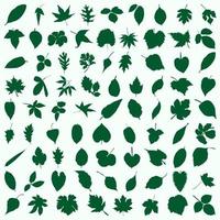 Green leaf icons set on white background. vector