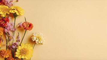 Banner with daisies. Copy space, top view, festive background. . photo