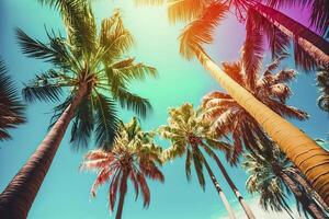 Tropical palm background. . photo