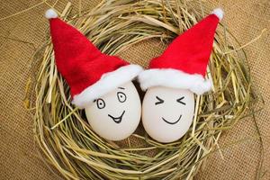 Happy eggs at Christmas. photo