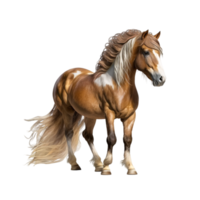 Horse Vector Horse Picture Material png
