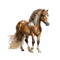 Pferd Vektor Pferd Bild Material png