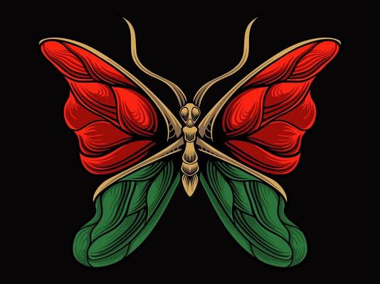 beautiful butterfly vector design for elements