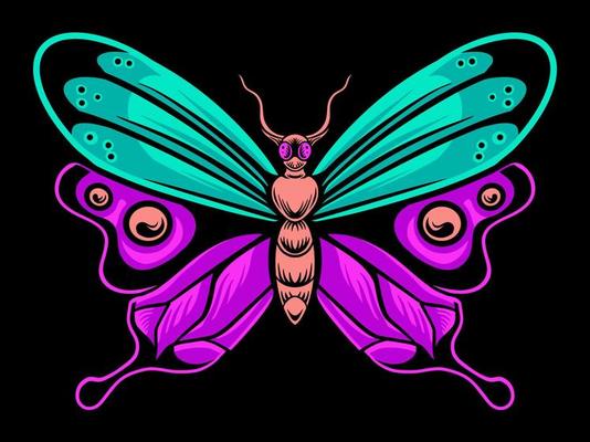 beautiful butterfly vector design for elements