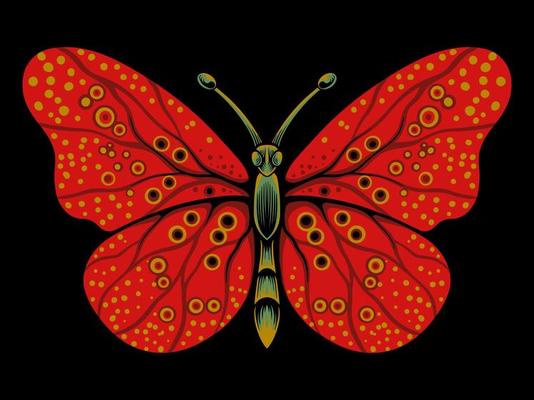 beautiful butterfly vector design for elements