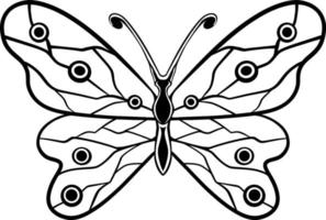 beautiful butterfly coloring book vector