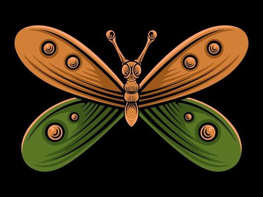 beautiful butterfly vector design for elements