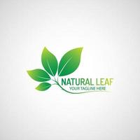 Green leaf logo design vector file