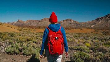 actif promeneur femme randonnée sur teide nationale parc et fait du photo paysages sur le téléphone intelligent. Ténérife, canari îles video