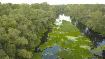 Flight over the river overgrown with grass, Ukraine surrounded by trees - aerial videotaping video